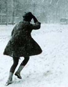 blizzard image